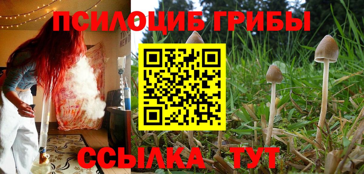 Псилоцибиновые грибы ЛСД  Вход с VPN  Избербаш 
