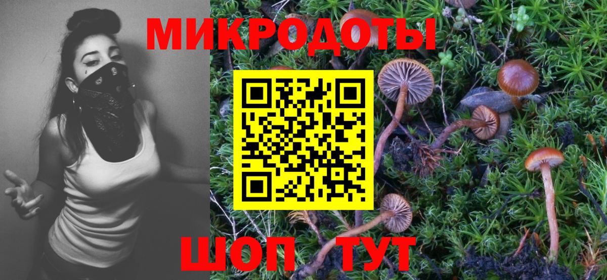 Галлюциногенные грибы прущие грибы Избербаш