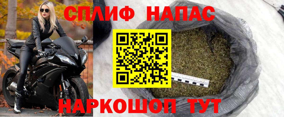 Шишки марихуана конопля Избербаш